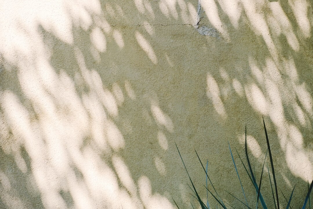 mysterious woman portrait